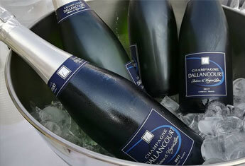 Bouteills et seau à glace Champagne Dallancourt 
