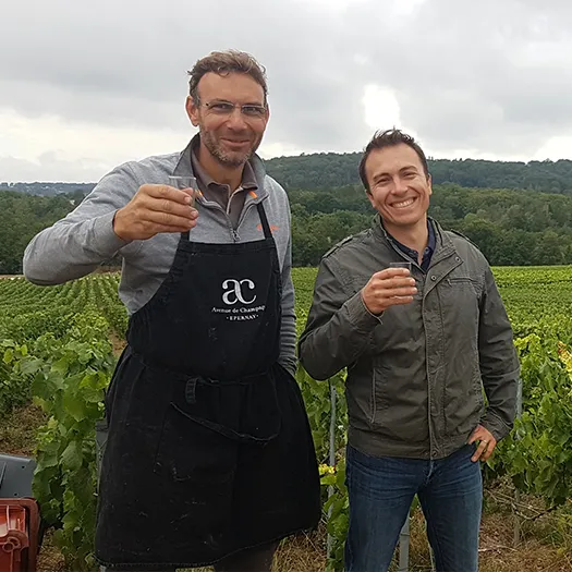 Dégustation de champagne durant un séminaire