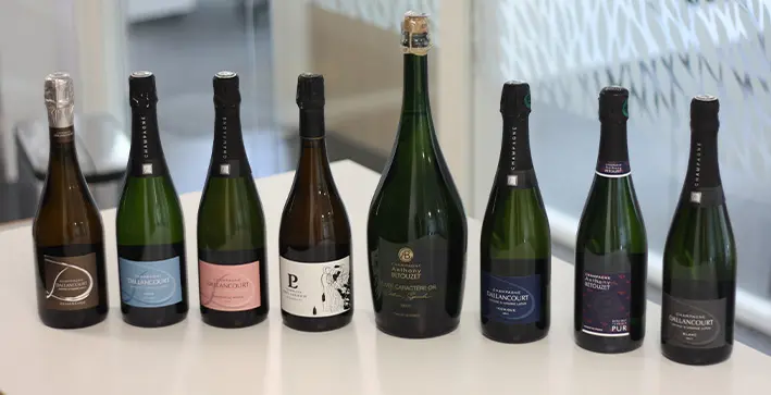 SANKS Champagne range