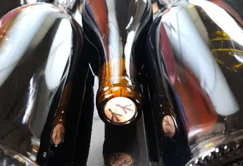 Bouteilles de vin en cours de vinification Domaine des passereaux